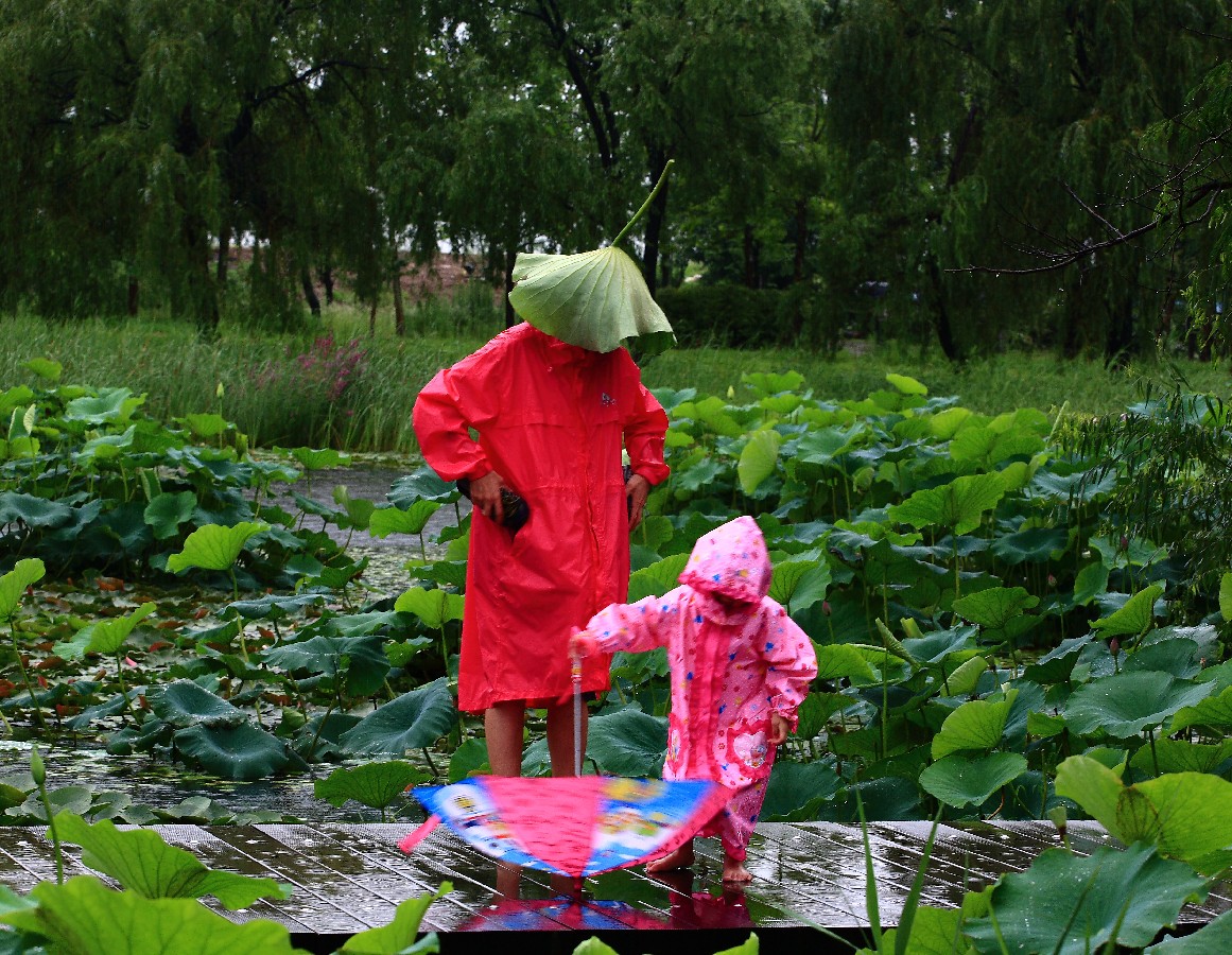 Prize winners - Baek Rakyeong – Mom, Look at Me